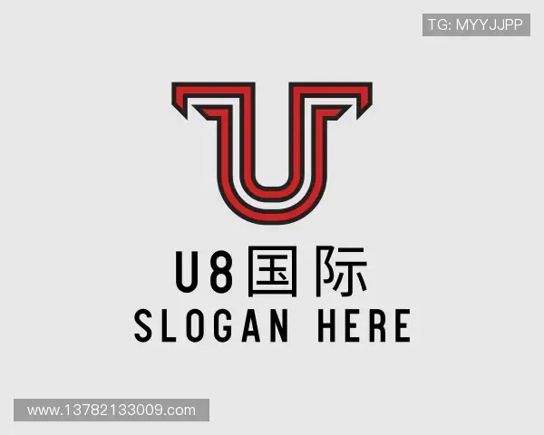 了解u8国际